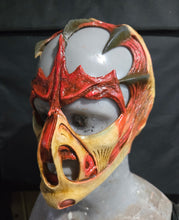 Load image into Gallery viewer, Red hummingbird 3/4 mask
